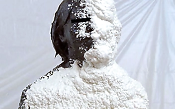 Urethane Foam
