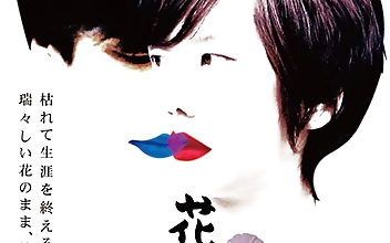 青春H2 花つみ