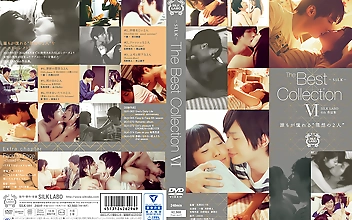 The Best Collection VI
