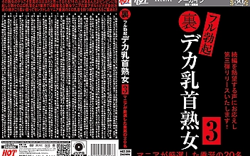 裏フル勃起デカ乳首熟女3 マニアが厳選した垂涎の20名