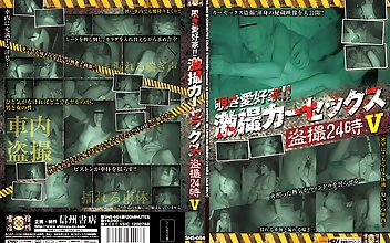 覗き愛好家！！激撮カーセックス○撮24時5