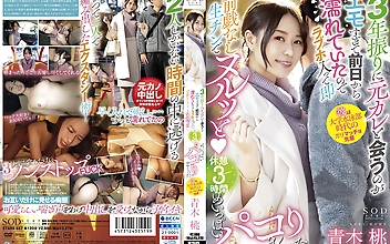 3年振りに元カレと会うのがエモすぎて前日から濡れていたのでラブホ入って即前戯なし生チンでヌルッと（ハート） 休憩 3 時間めいっぱいパコりまくった 青木桃